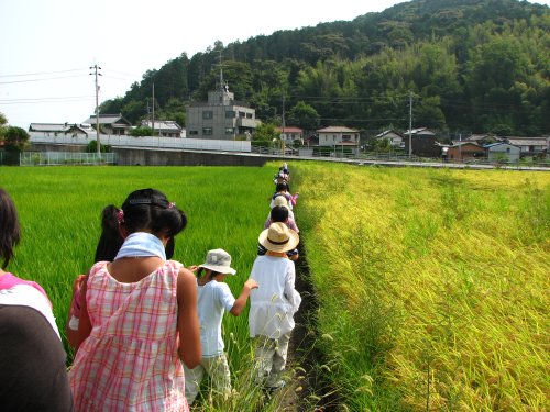 さぁ！みんなで草引きだ！