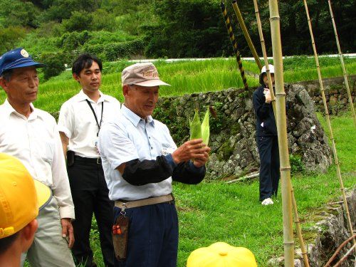 右が石本さん、左が渡辺さん