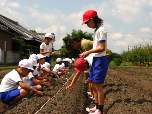 2～3日したら芽が出るよ。早っ！？