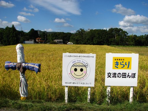 前日の雨がウソのように秋晴れ