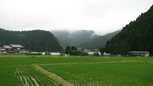 朝もやに田園・・・空気がおいしい