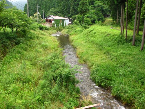 静原川の清流