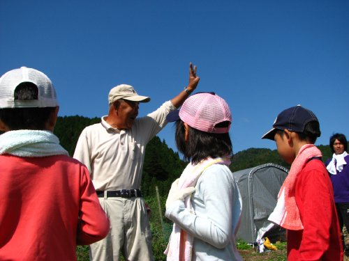 シシが6匹おって運動会しとったわ！（西村談）