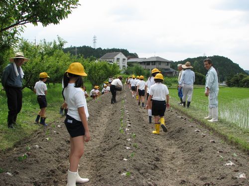 大豆の苗もすでにセッティング済み