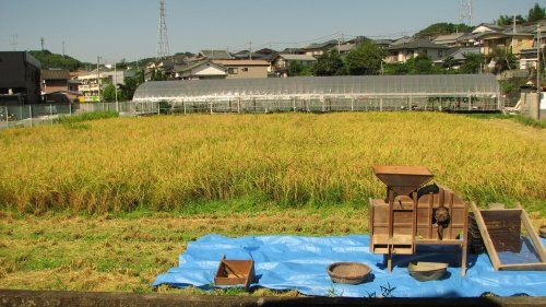 右手前に「唐箕」が見えます