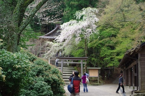 世界遺産の金峯神社（きんぷじんじゃ）