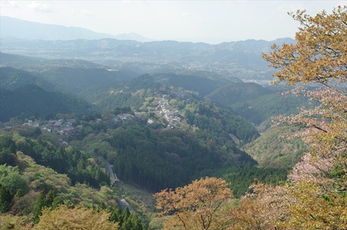 中央に見えるのは、金峯山寺本堂蔵王堂？